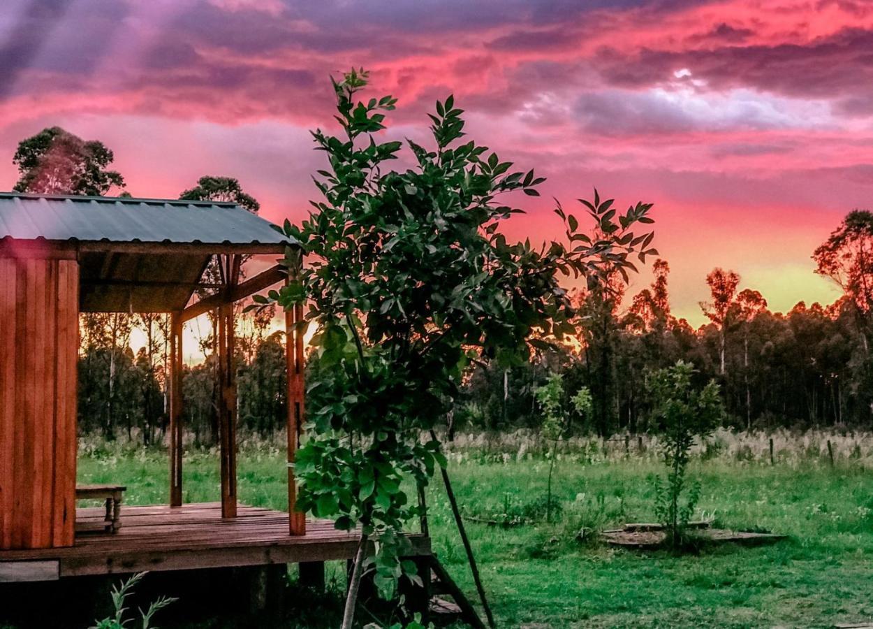 Campo Verde Конкордия Экстерьер фото