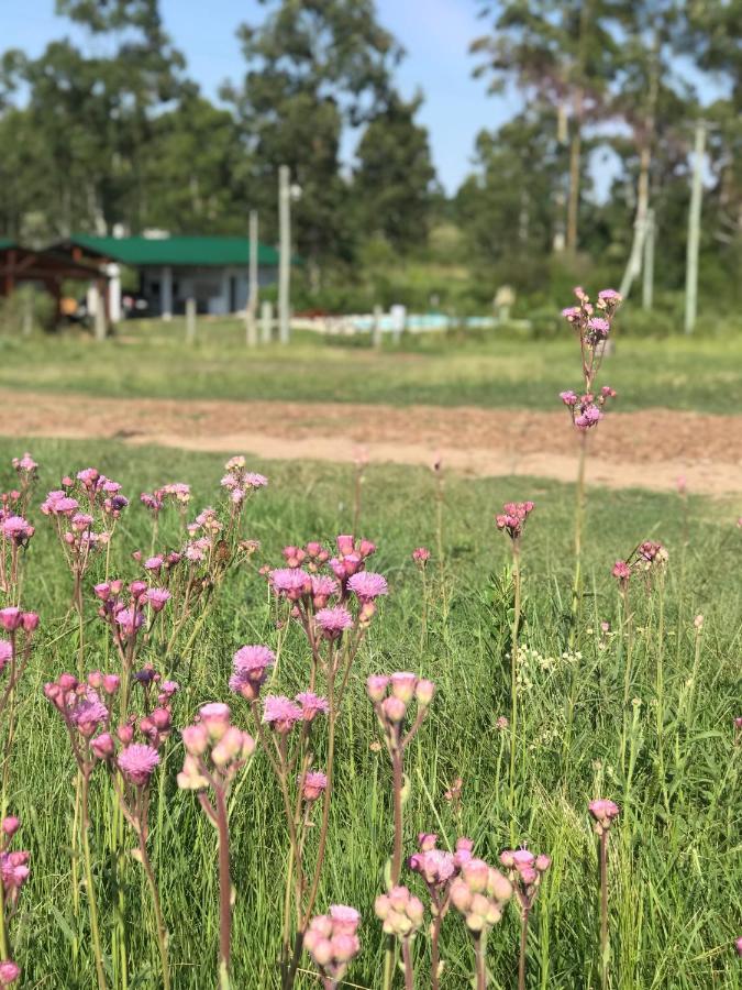 Campo Verde Конкордия Экстерьер фото